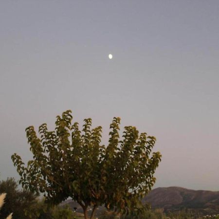 Вилла Sprawling Vlilla In Malades Agios Sillas Экстерьер фото